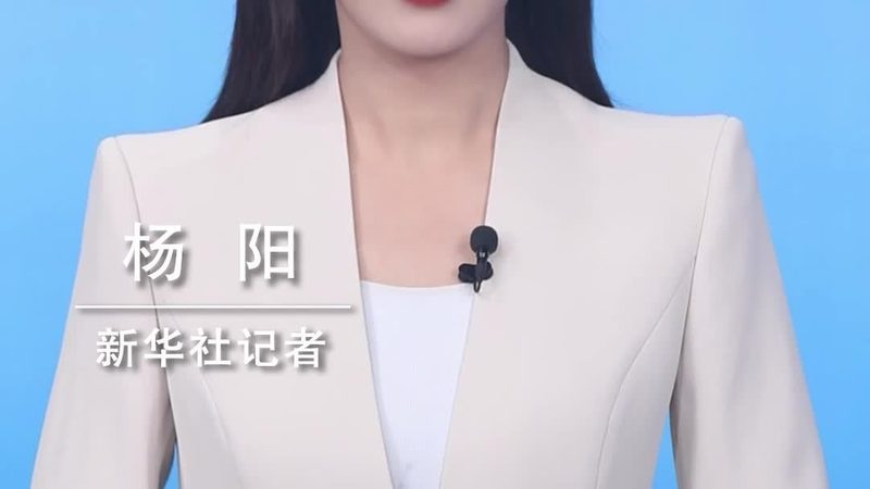 数据仓库与数据湖：揭秘两者之间的本质区别